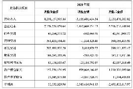 关岭如何避免债务纠纷？专业追讨公司教您应对之策